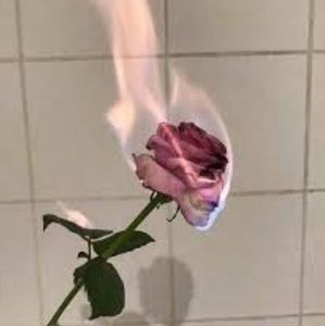 Meet your Posher, Summer